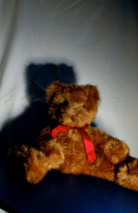 My Teddy Bear has a Shadow
